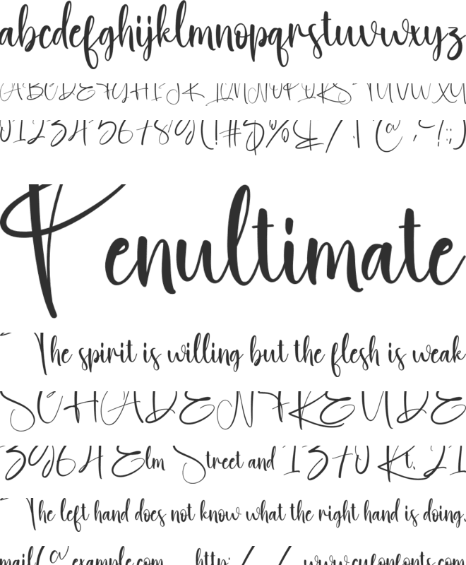 Resolute font preview