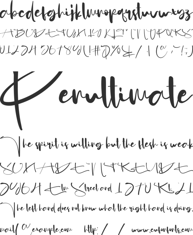 Animate font preview