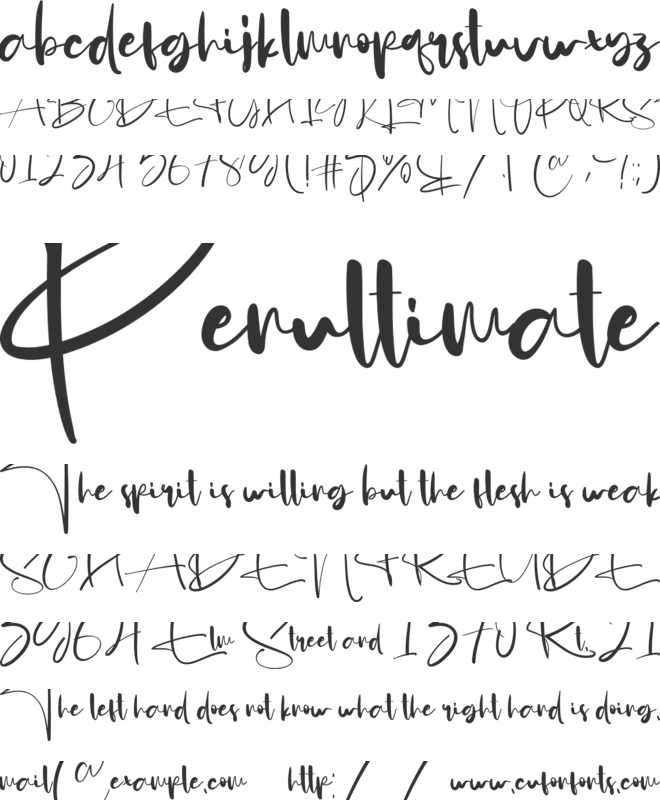 Animate font preview
