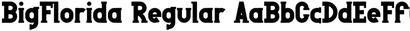 BigFlorida font download
