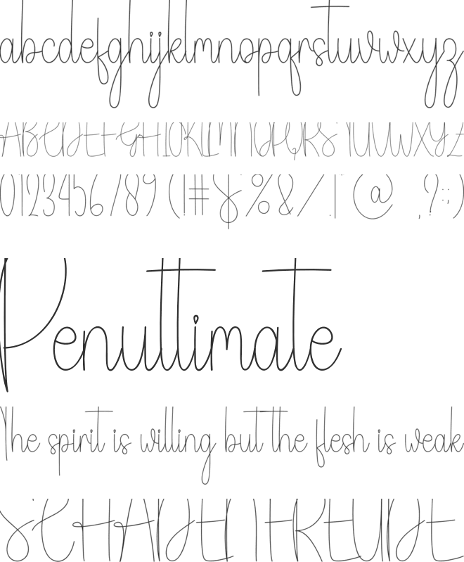 Simple Signature font preview