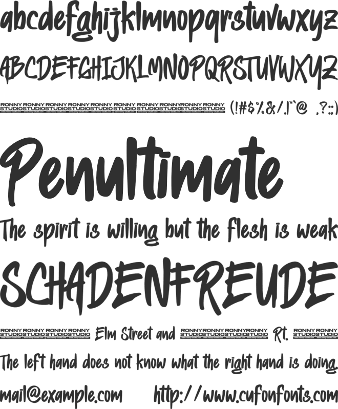 Heylabs Stroyed font preview