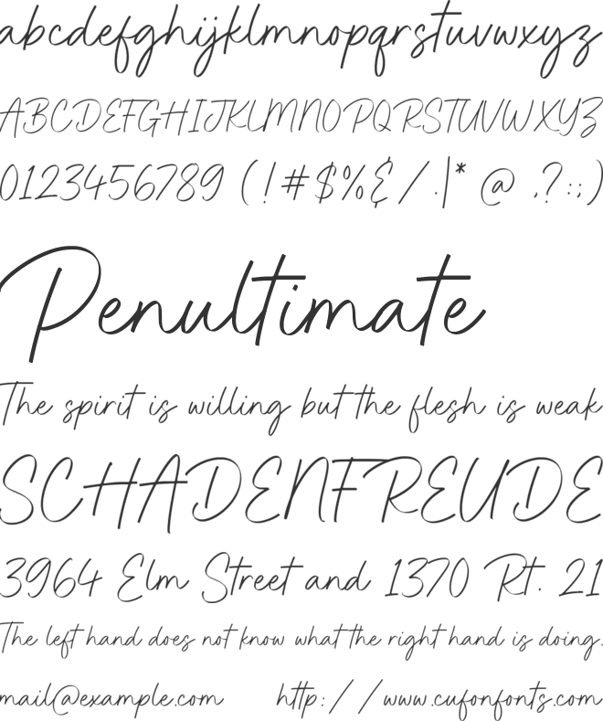 Brighton Signature font preview