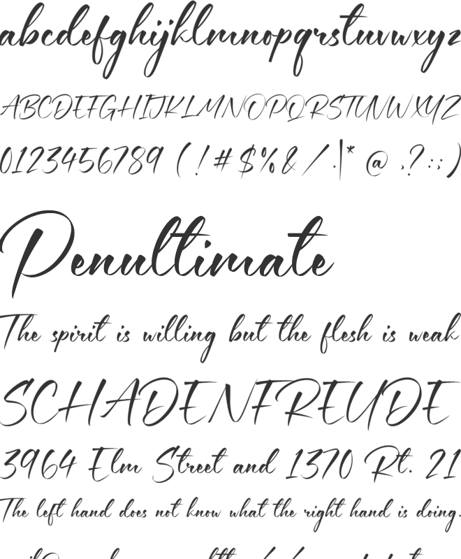 Houston Journey font preview