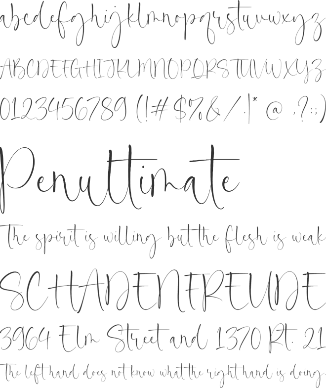 Simptown Boutique font preview