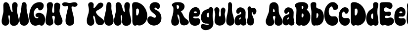 NIGHT KINDS Regular font