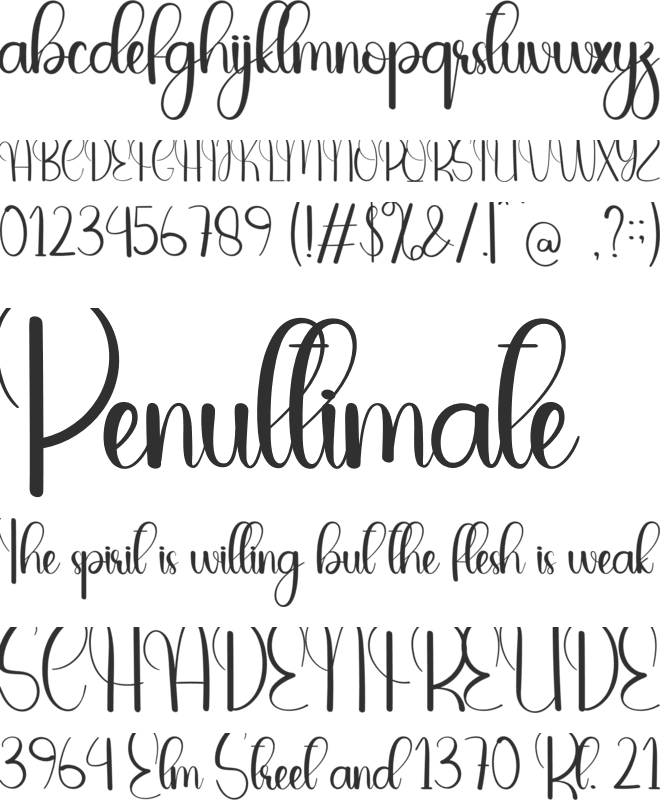 The Saturday font preview