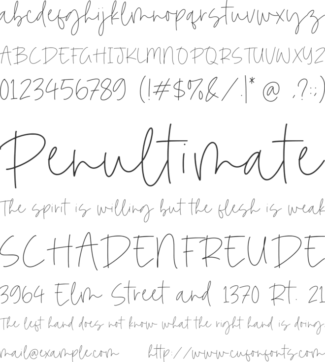 Dominate font preview