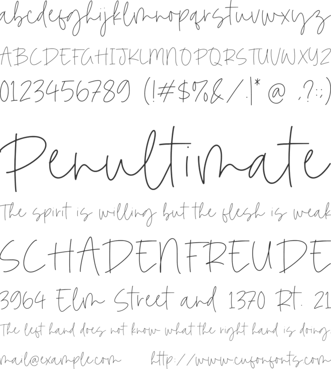 Dominate font preview