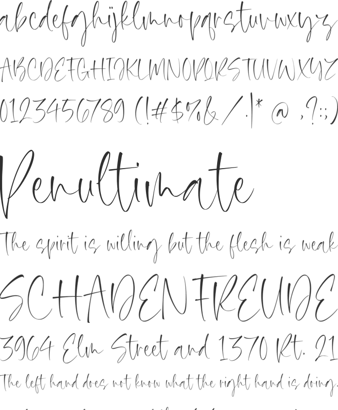 Silver Brighter font preview