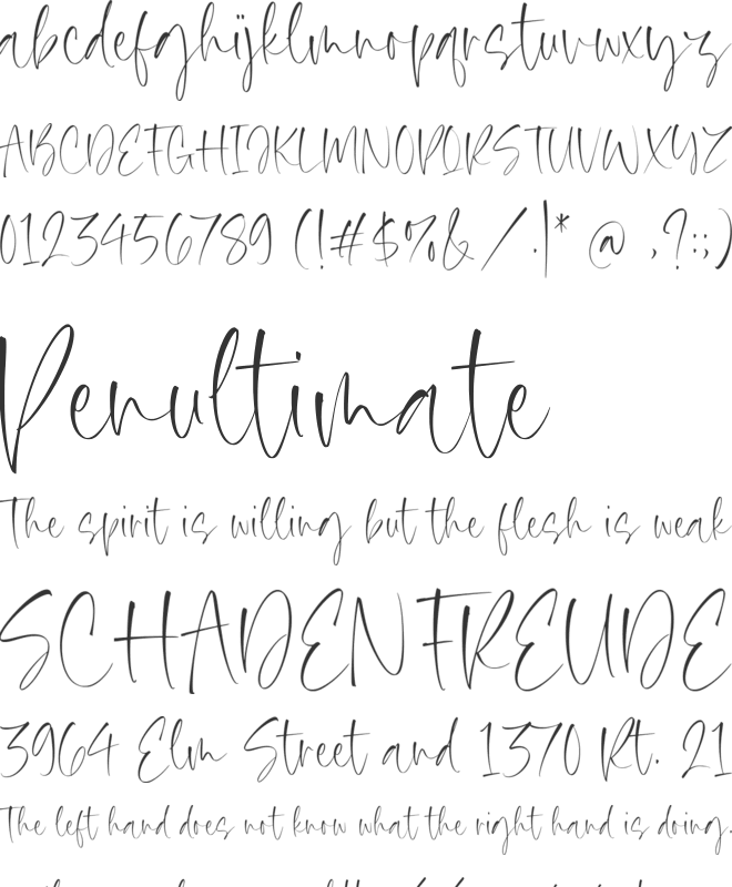 Silver Brighter font preview