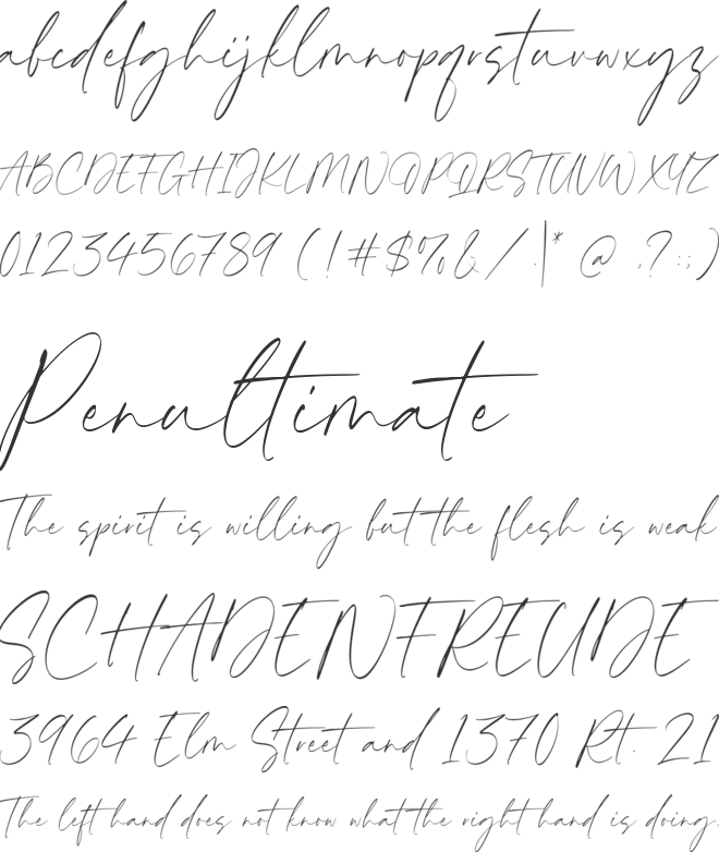 Maldives Signature font preview