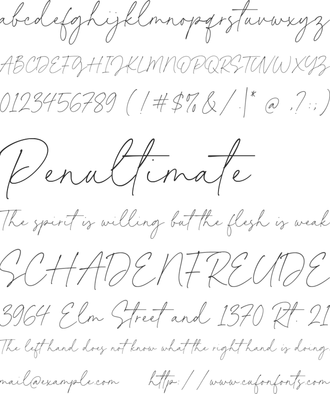 Kimberly Paradise font preview
