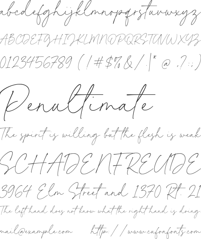 Kimberly Paradise font preview