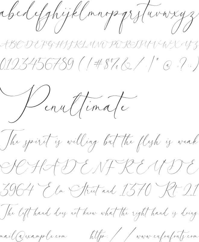 Courtney Martines font preview