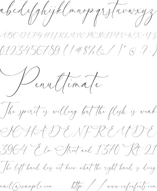 Courtney Martines font preview