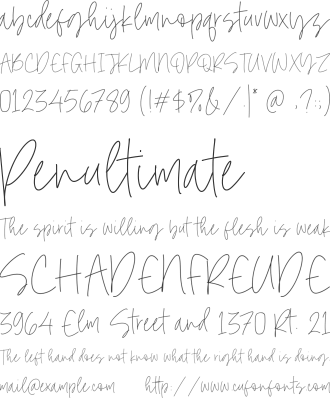 Simone Kimber font preview
