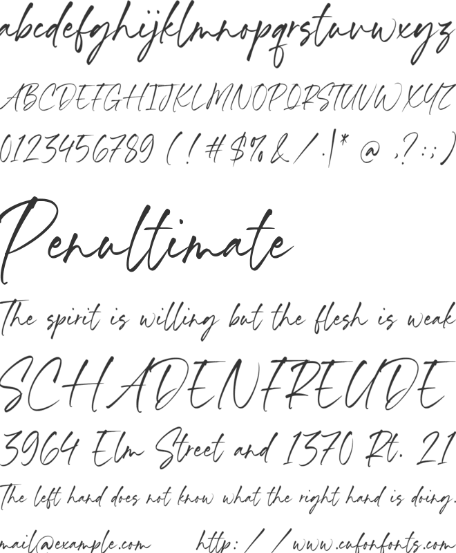 Benyamin Signature font preview