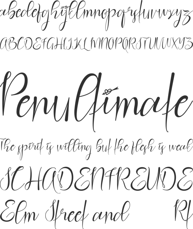 Christmas Rose font preview