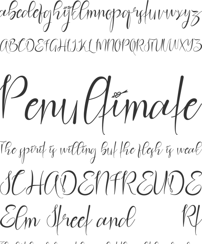 Christmas Rose font preview