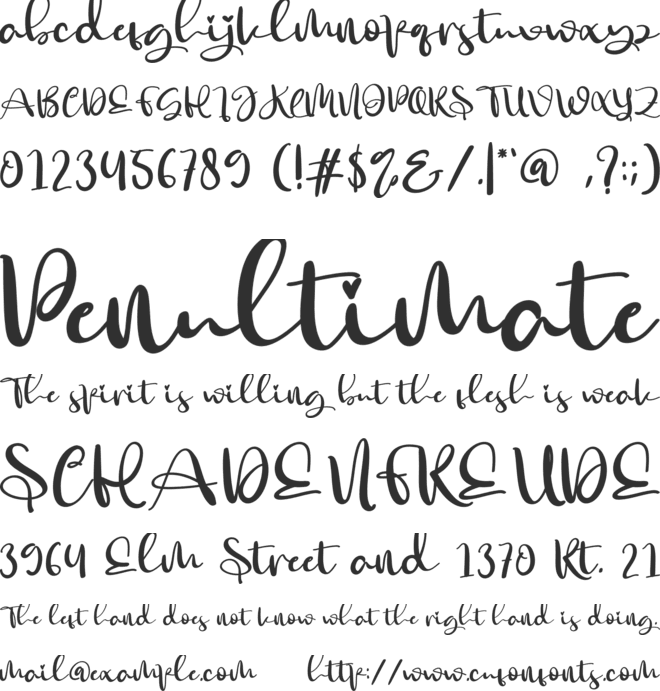 The Signature font preview