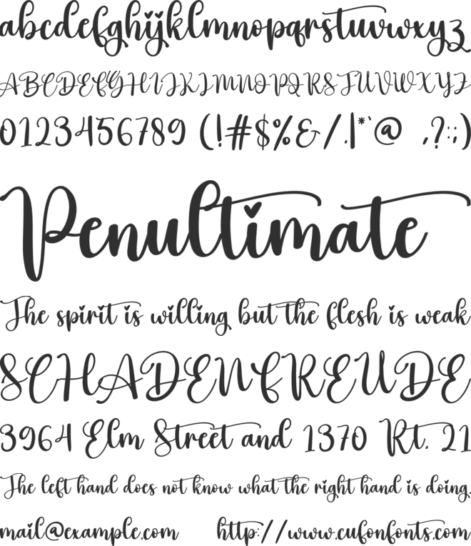 Hey Vintage font preview