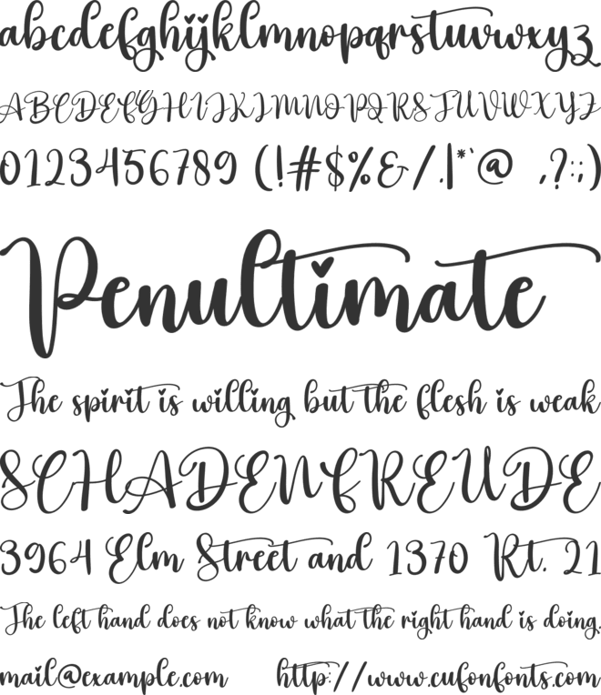 Hey Vintage font preview