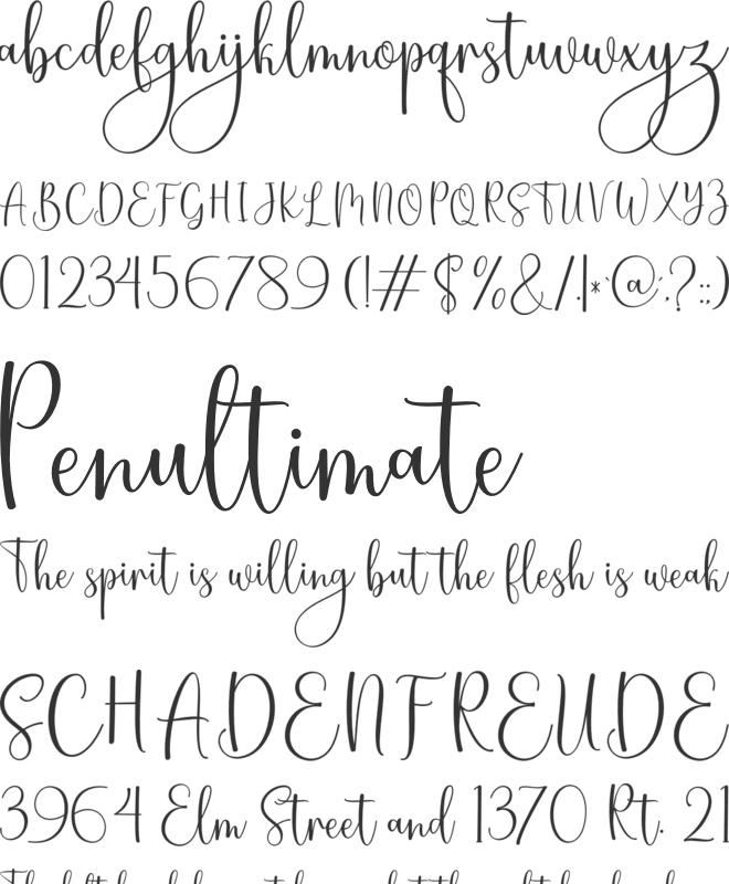 Straight font preview