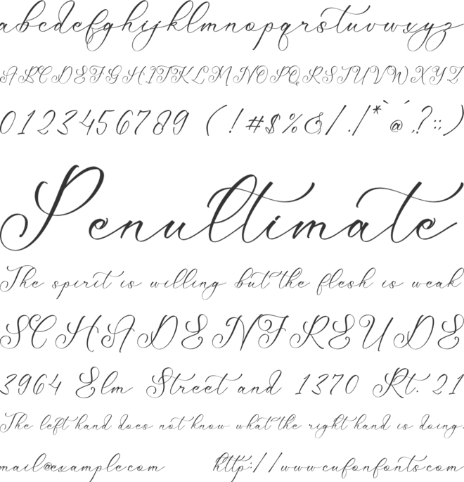 Mattrile Vintales font preview
