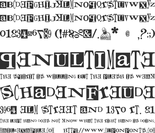 Times for Punks font preview