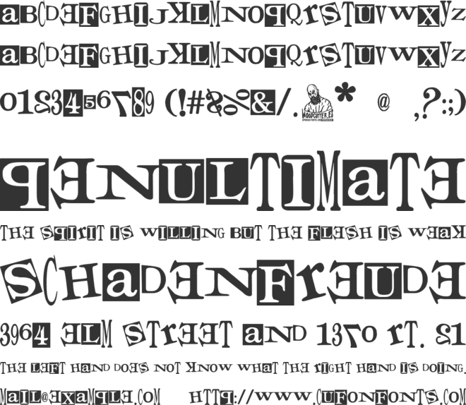 Times for Punks font preview