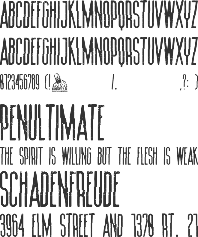 Summer Film Festival font preview
