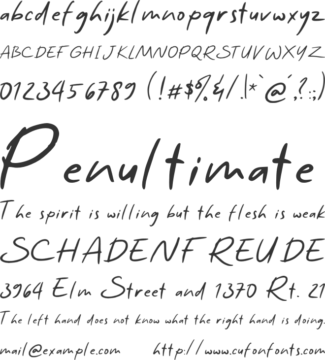 Zidna font preview
