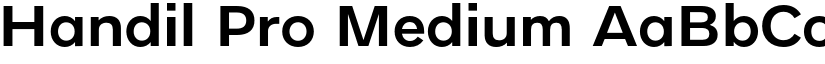 Handil Pro Medium font