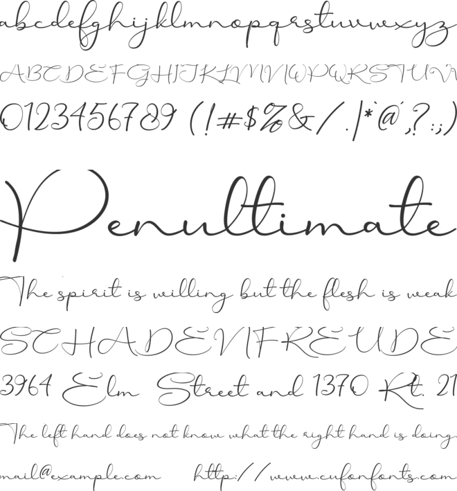 Thoughtful Pathways Free font preview