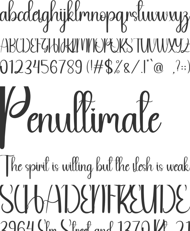 Online Signature font preview