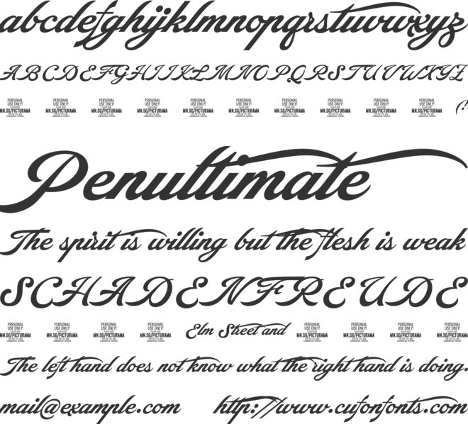 Picturama Alternate PERSONAL font preview