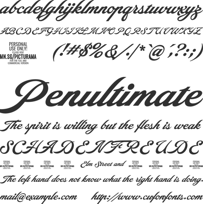 Picturama Founder PERSONAL font preview