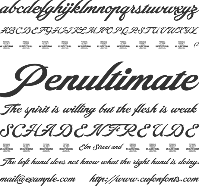 Picturama Founder PERSONAL font preview