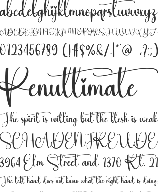 Workday font preview