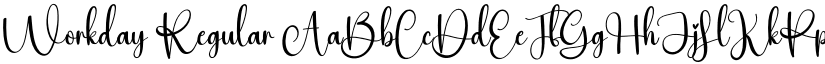 Workday Regular font
