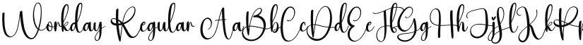 Workday font download