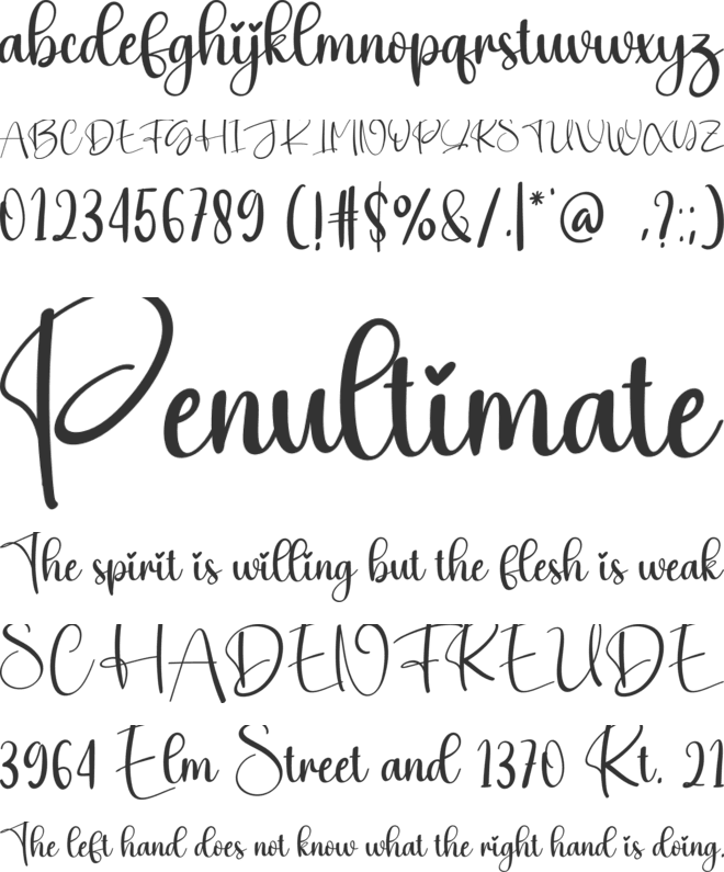 Visible font preview