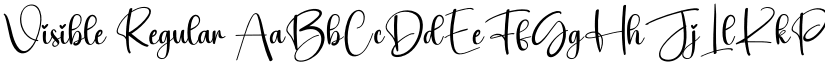 Visible Regular font