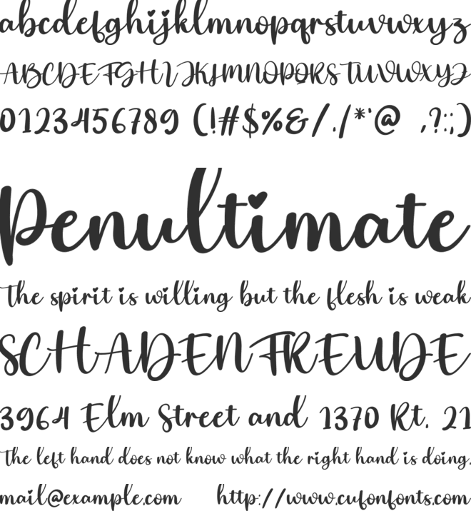 Comming font preview