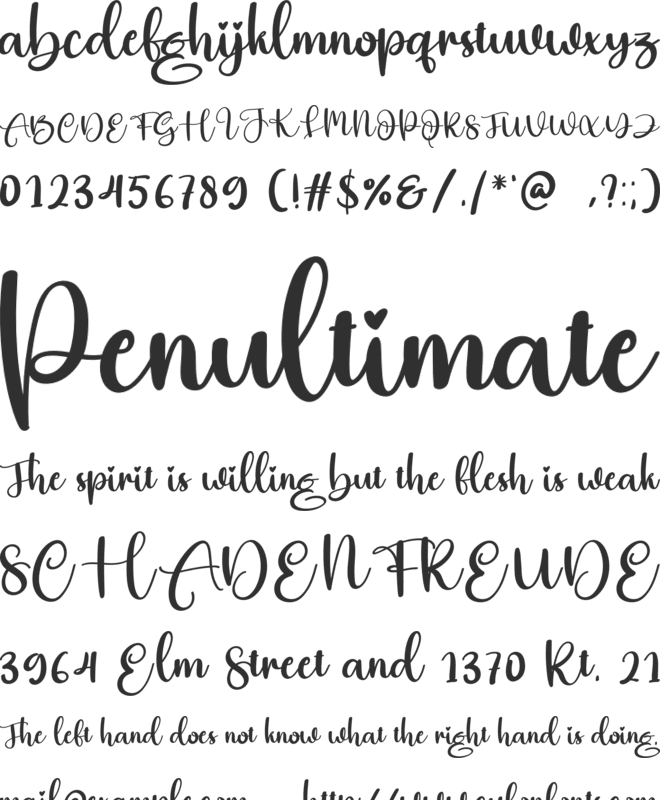 Beelover font preview
