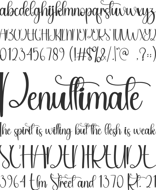 Study font preview