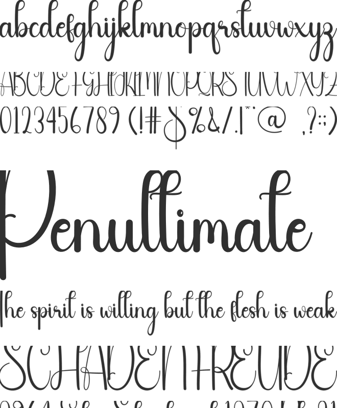 Simple Calligraphy font preview