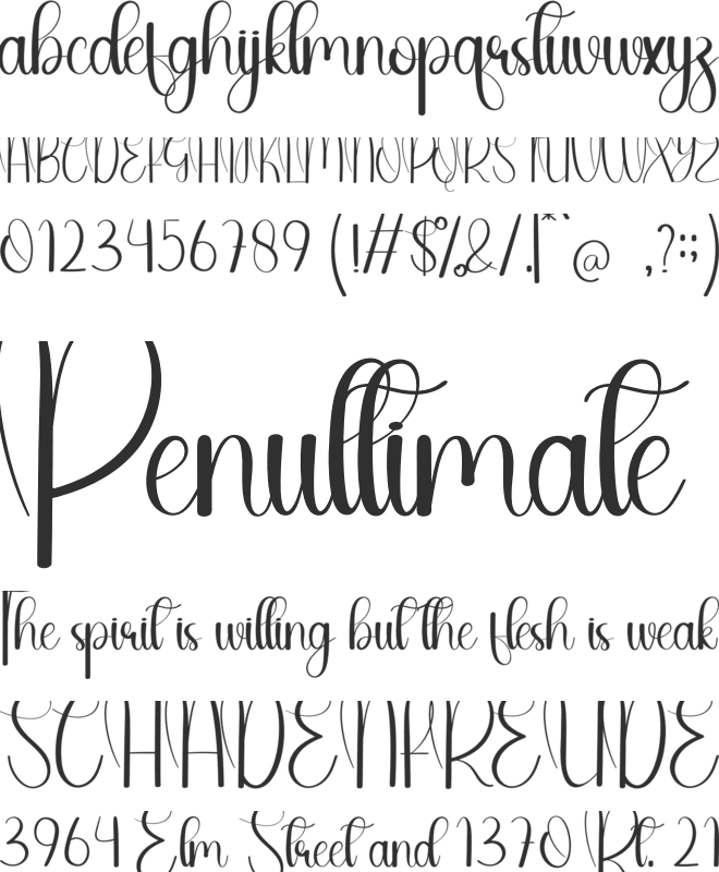 Olive Oil font preview