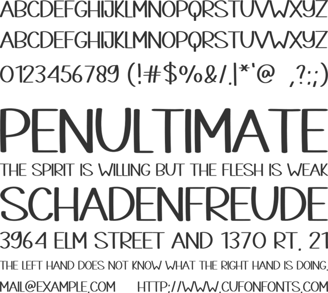 Company font preview